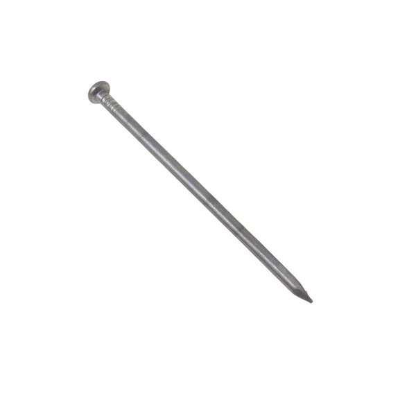 Grip-Rite Common Nail, 2 in L, 60D, Stainless Steel, Bright Finish, 1600 PK 6C10BK
